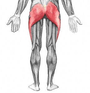 Blog 21 - Anatomisch